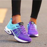 Blue Purple